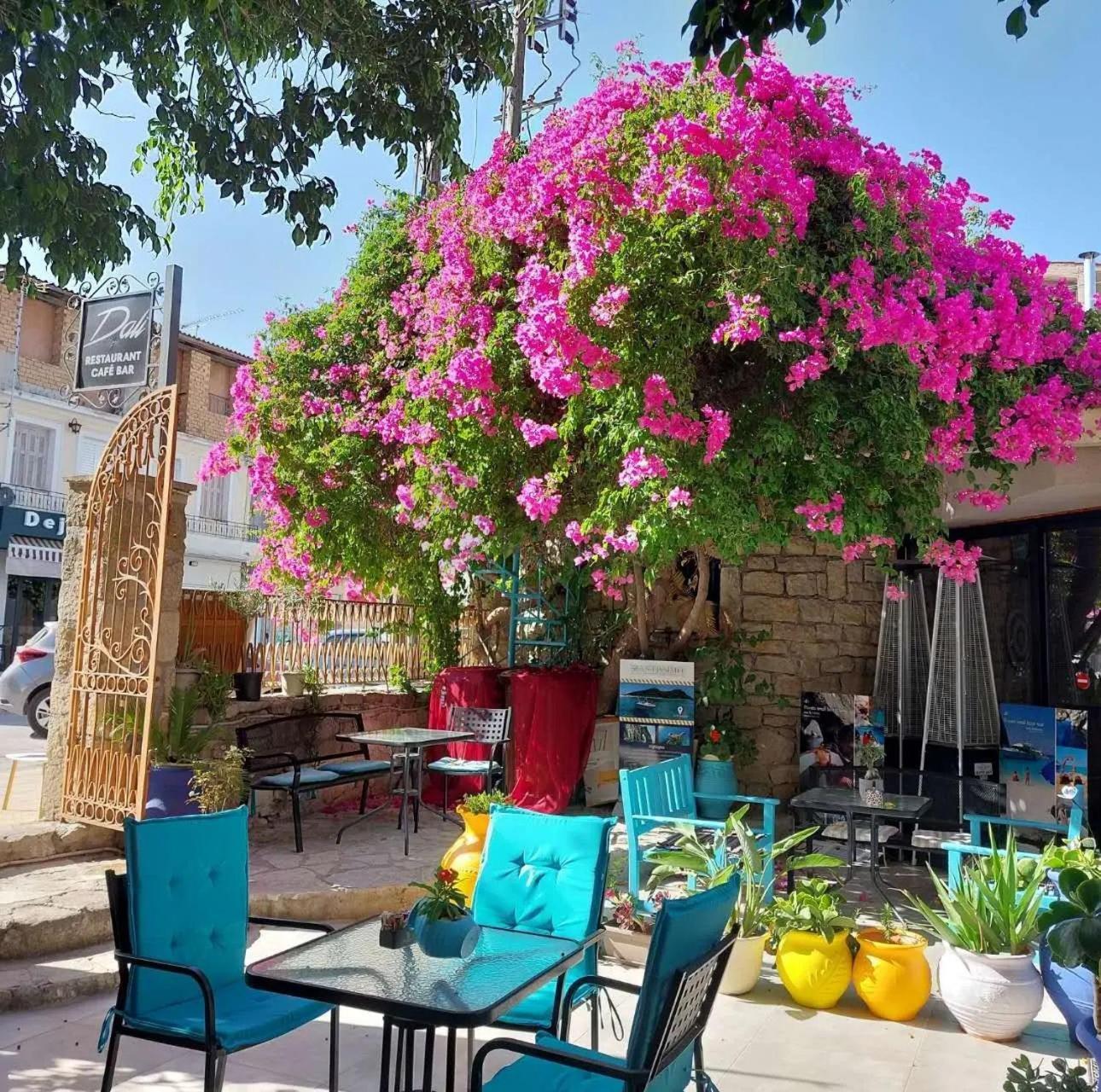 Amina Apartments Zakynthos Town Exterior foto